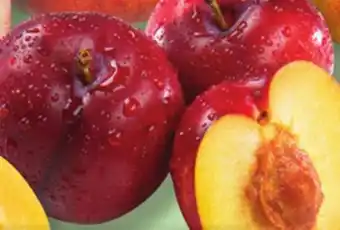 IGA RED PLUMS offer