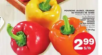 Marches Tradition GREENHOUSE SWEET YELLOW, ORANGE OR RED PEPPERS offer