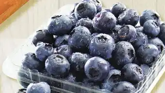Marches Tradition BLUEBERRIES offer