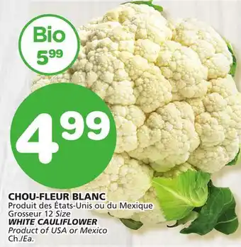 Marches Tradition WHITE CAULIFLOWER offer