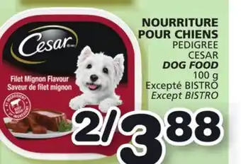 Marches Tradition CESAR DOG FOOD offer