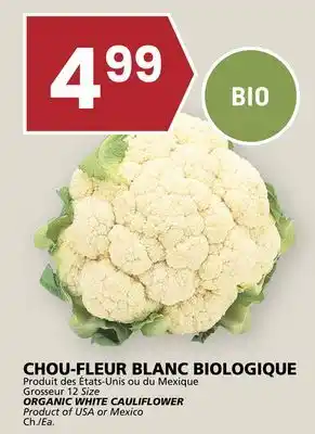 Rachelle-Bery Grocery ORGANIC WHITE CAULIFLOWER offer