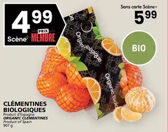 Rachelle-Bery Grocery ORGANIC CLEMENTINES offer