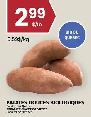 Rachelle-Bery Grocery ORGANIC SWEET POTATOES offer