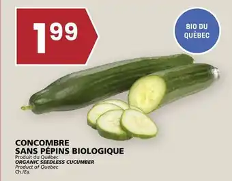Rachelle-Bery Grocery ORGANIC SEEDLESS CUCUMBER offer