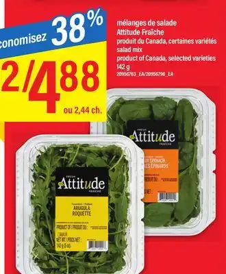 Maxi MÉLANGES DE SALADE ATTITUDE FRAÎCHE,142 g offer
