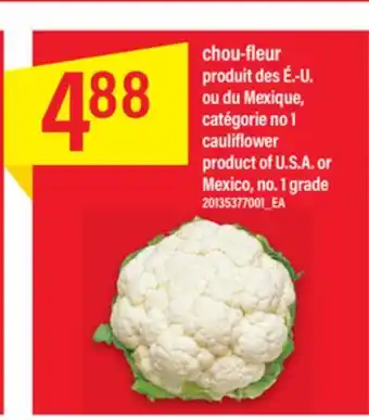 Maxi CHOU-FLEUR offer