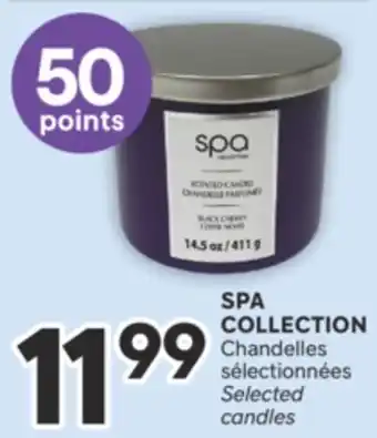 Brunet SPA COLLECTION Chandelles sélectionnées offer