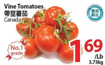 T&T Supermarket Vine Tomatoes offer