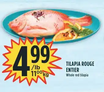 Marché Adonis TILAPIA ROUGE ENTIER offer