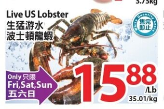 T&T Supermarket Live US Lobster offer
