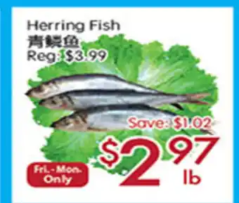 Sunny Food Mart Herring Fish offer