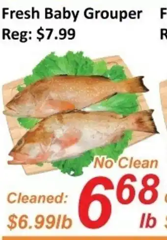 Fresh Win Foodmart Fresh baby grouper offer