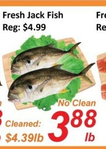 Fresh Win Foodmart Fresh jack fish offer