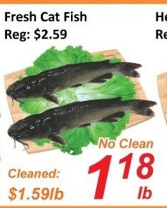Fresh Win Foodmart Fresh cat fish offer