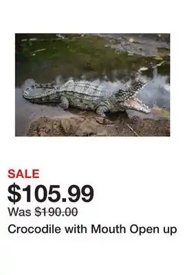 Wayfair Crocodile with Mouth Open up offer