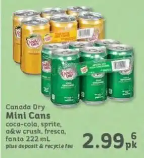Canada Dry Mini Cans coca-cola, sprite, a&w crush, fresca, fanta 222mL