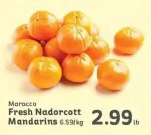 Morocco Fresh Nadorcott Mandarins