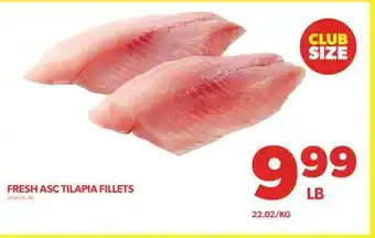 Real Canadian Superstore FRESH ASC TILAPIA FILLETS offer