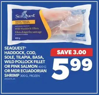 Real Canadian Superstore SEAQUEST HADDOCK, COD, SOLE, TILAPIA, BASA, WILD POLLOCK FILLET OR PINK SALMON, 400 G OR MDR ECUADORIAN SHRIMP, 300 G offer