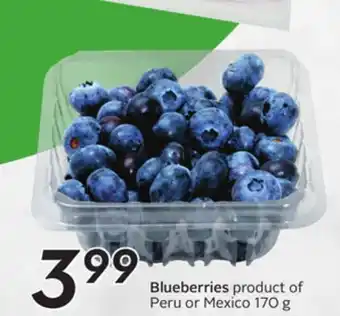 Sobeys Blueberries offer