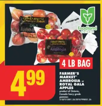 No Frills FARMER'S MARKET AMBROSIA or ROYAL GALA APPLES, 4 LB BAG offer