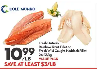 Longo's Fresh Ontario Rainbow Trout Fillet or Fresh Wild Caught Haddock Fillet offer