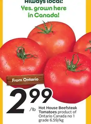 Sobeys Hot House Beefsteak Tomatoes offer