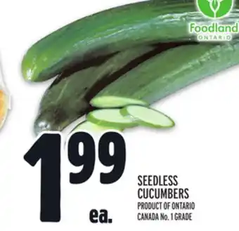 Metro SEEDLESS CUCUMBERS offer