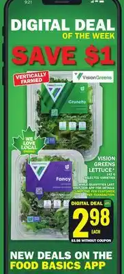 Food Basics VISION GREENS LETTUCE offer