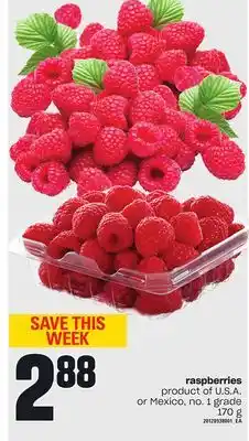 Loblaws RASPBERRIES, 170 g offer