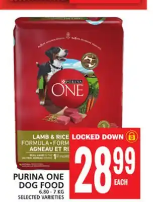 Food Basics PURINA ONE DOG FOOD offer