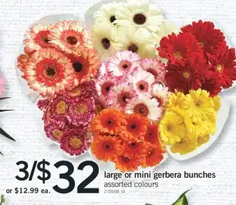 Fortinos LARGE OR MINI GERBERA BUNCHES offer