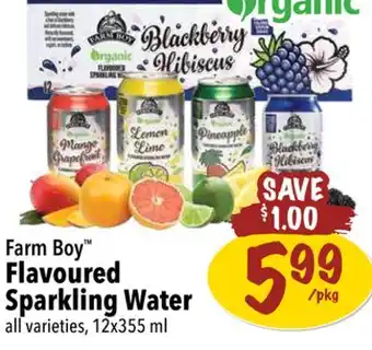 Farm Boy Farm Boy Flavoured Sparkling Water offer