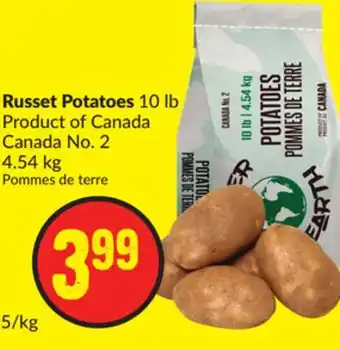FreshCo Russet Potatoes 10 lb Product of Canada No 2 4.54 kg offer