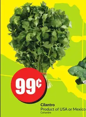 FreshCo Cilantro Product of USA or Mexico offer