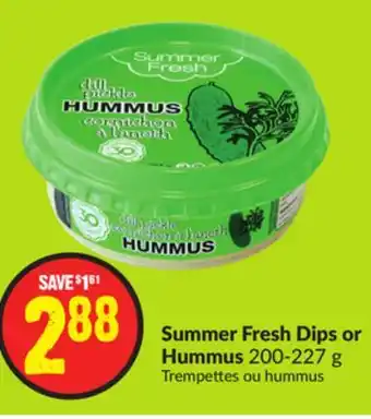 FreshCo Summer Fresh Dips or Hummus 200-227 g offer