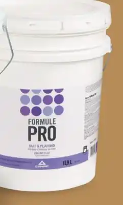 Canac Formule Pro Ceiling Latex Paint Natural White 18.9 L offer