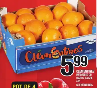 Marche Ami CLÉMENTINES | CLEMENTINES offer