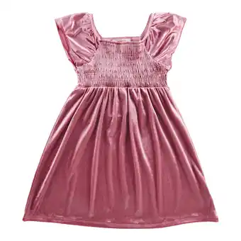 Giant Tiger MONKEY BARS Toddler Girl's Lightweight Velour Circle Dress offer