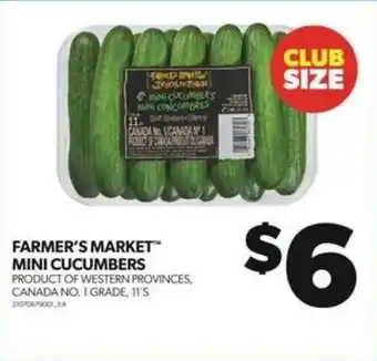 Real Canadian Superstore FARMER'S MARKET MINI CUCUMBERS 11'S offer
