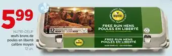 Avril Œufs bruns de poules en liberté calibre moyen offer