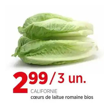 Avril cœurs de laitue romaine bios offer