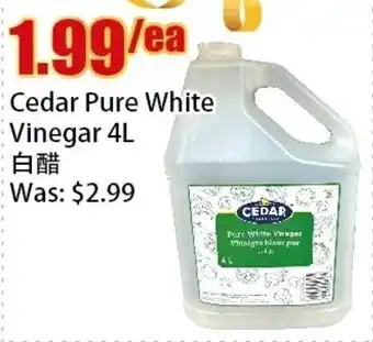 Bestco Food Mart Cedar Pure White Vinegar 4L offer