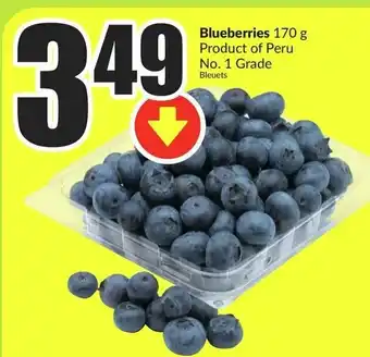 FreshCo Blueberries 170g offer