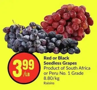 FreshCo Red or Black Seedless Grapes offer