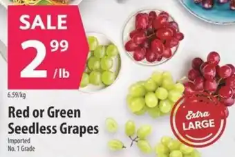 Co-op Red or Green Seedless Grapes offer