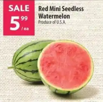 Co-op Red Mini Seedless Watermelon offer