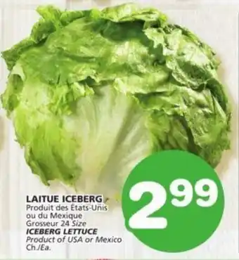 IGA ICEBERG LETTUCE offer