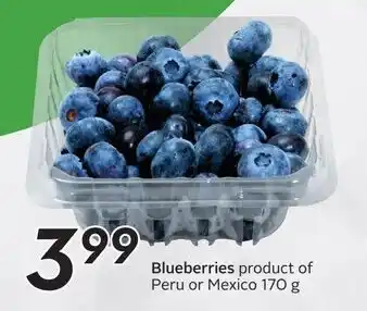 Sobeys Blueberries 170g offer